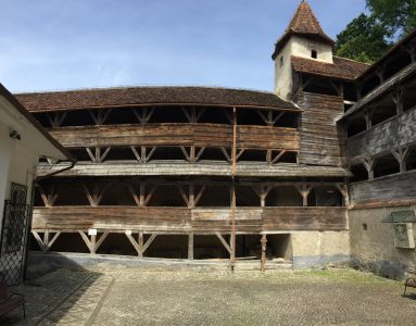 IMG_2362
