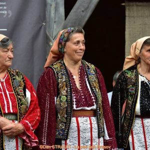 13894986_569576383229990_7074677030141553638_n