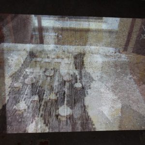 13932829_1273430949358226_296226599253745451_n