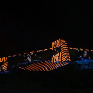 14305325_1240571409318356_3209856449609681025_o