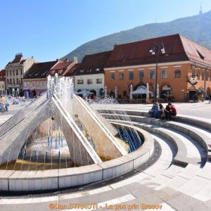 14542585_594364937417801_6835217569564028009_o