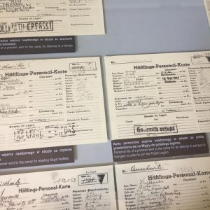 21191893_2024198427866916_2876344602079969186_n