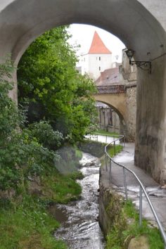 bastionul graft 6