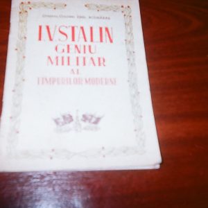 poze-facute-de-copii_proiect-orasul-stalin-1